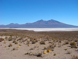 solná plá Salar de Chiguana a vulkán Luxsar