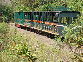 ekologický jungle train